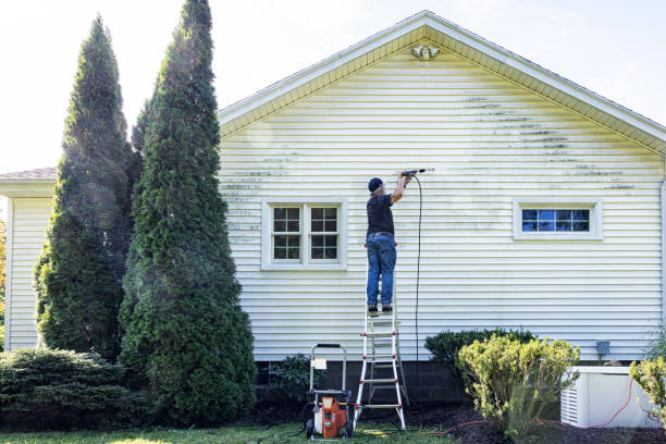 Best Roof Pressure Washing  in Windber, PA