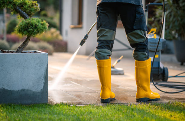 Best Pressure Washing Near Me  in Windber, PA